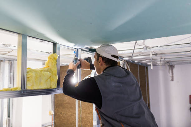 Best Insulation Installation Services in Bothell, WA